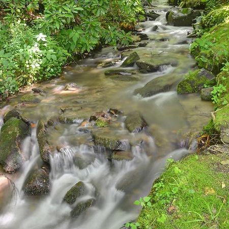 Panther Creek Cabins Cherokee Kültér fotó